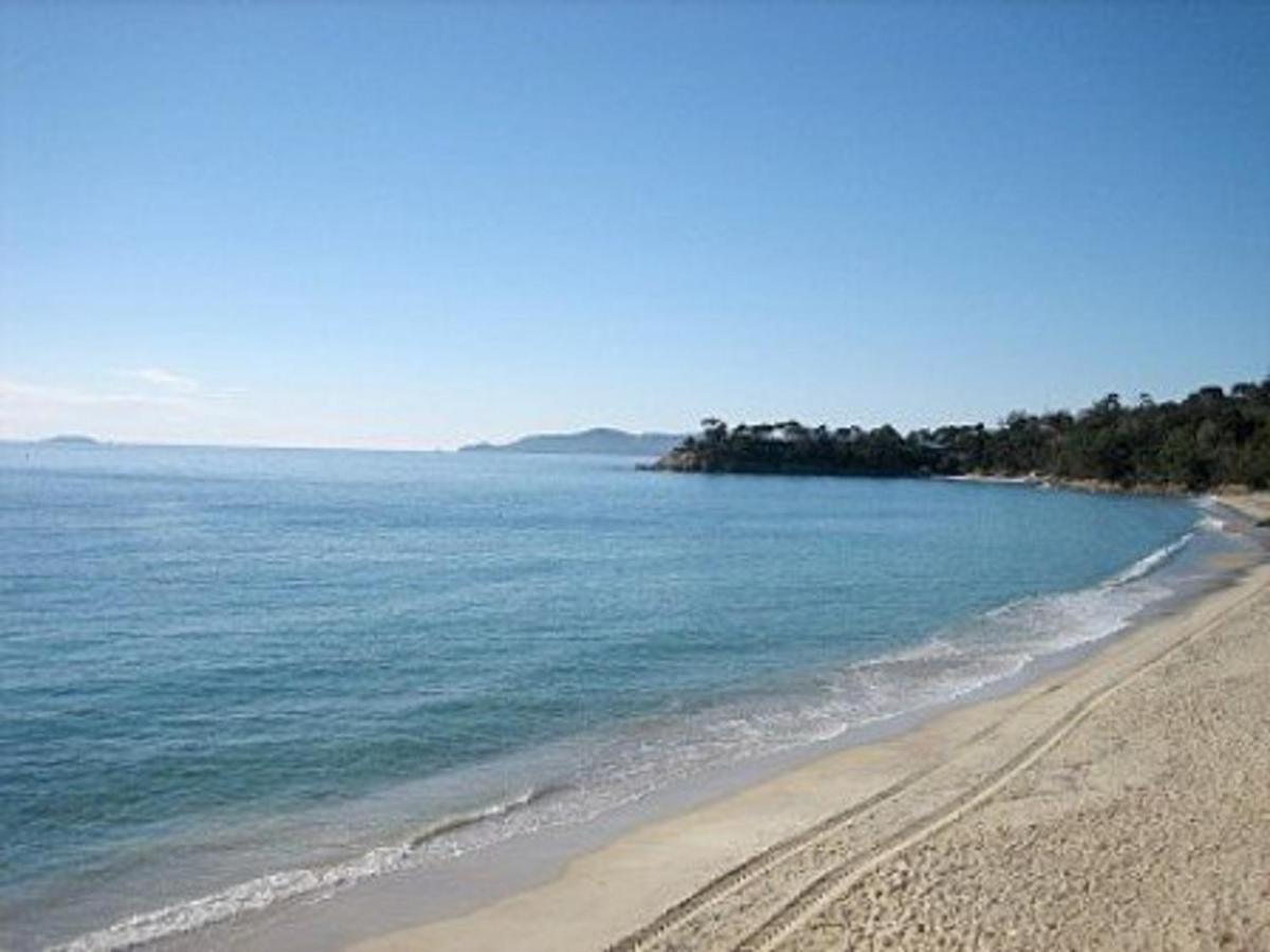 Studio Sur Plage Cavaliere Avec Terrasse, 1Er Etage, 2 Couchages - Fr-1-251-80 Le Lavandou Eksteriør billede